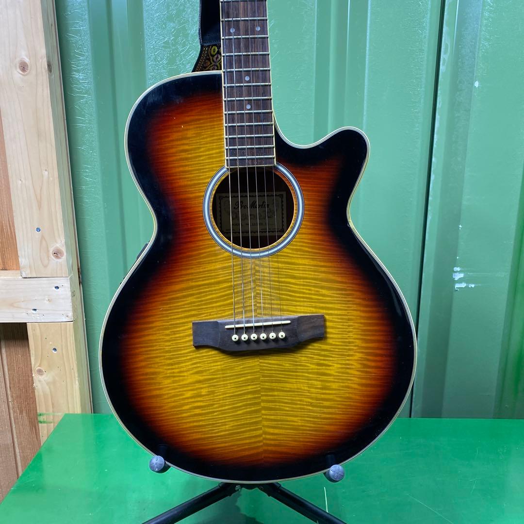 【現状品】Pro Martin EA500W VS アコースティックギター