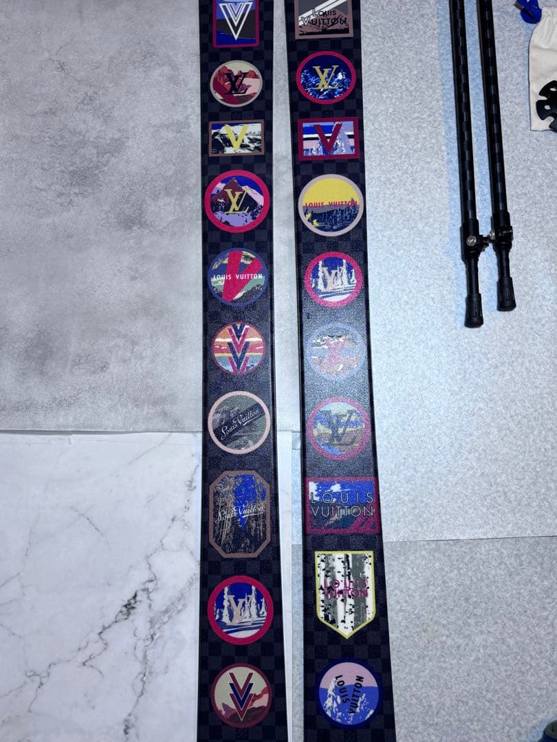 【激レア正規品】Louis Vuitton アルプススキー