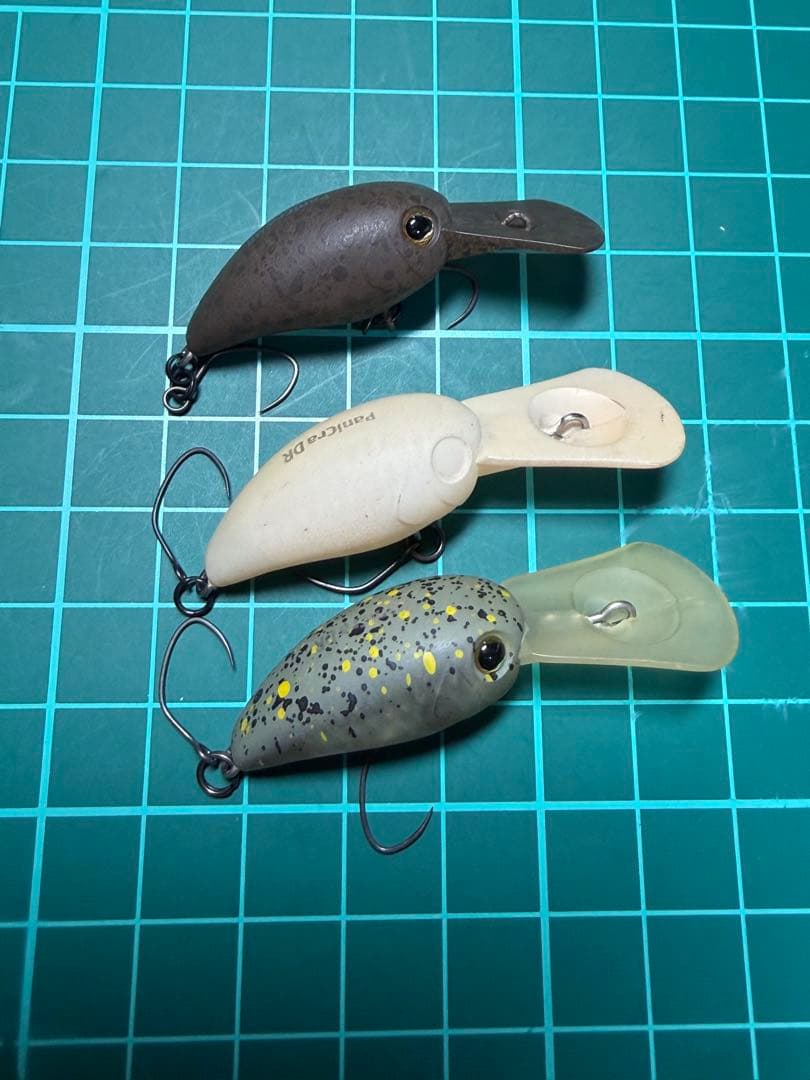 ティモン　パニクラ　オオツカオリカラ　ゴマレグ　ブラウンフライ　スプリンクル