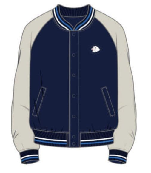 埼玉西武ライオンズ 入会記念品 スタジアムジャンパー（L）