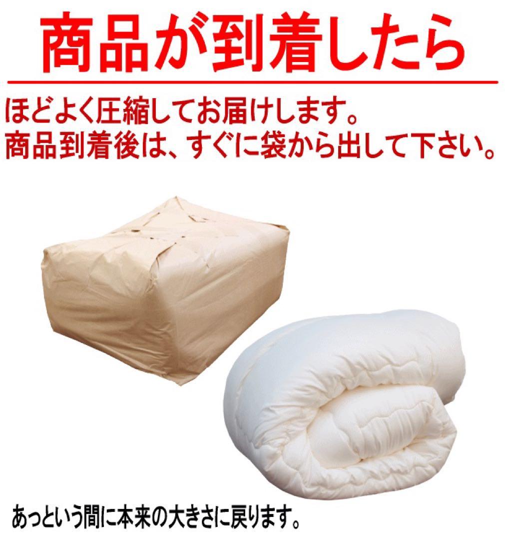 掛け布団 シングル テイジン フィルケア 抗菌 防臭 洗える 掛布団 日本製