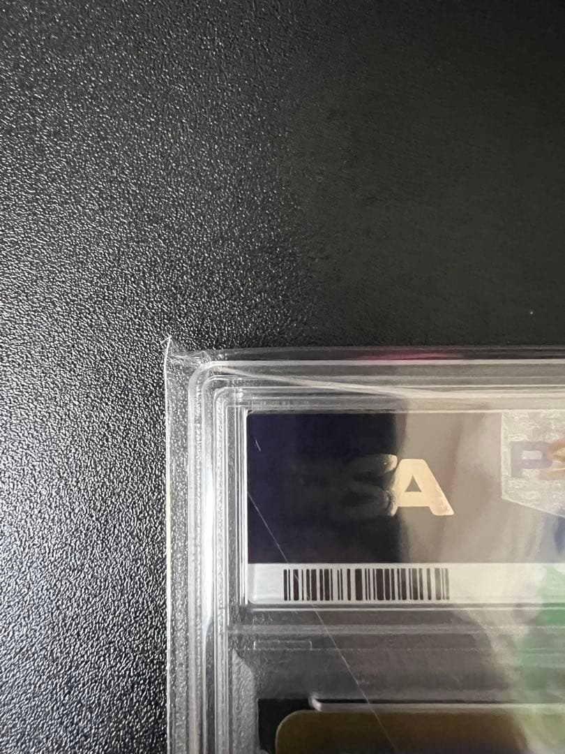 グ*ス様 ルチアのアピール SAR PSA10