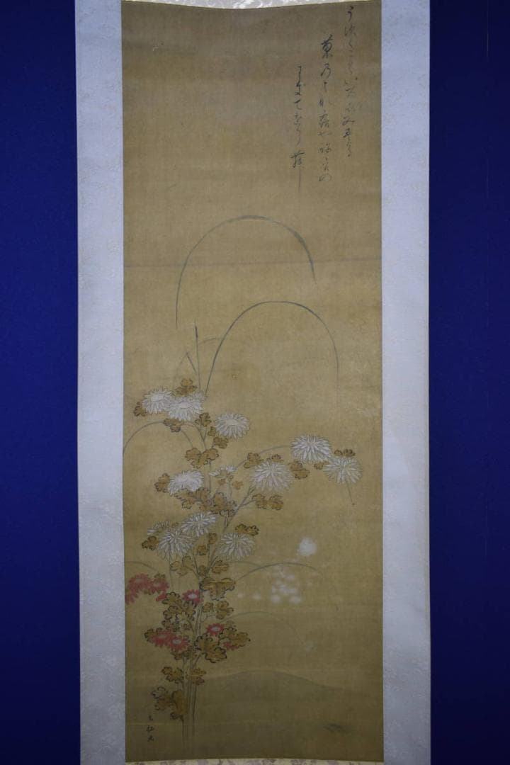 真作/狩野元仙/古画/菊画詞/布袋屋掛軸HF-239