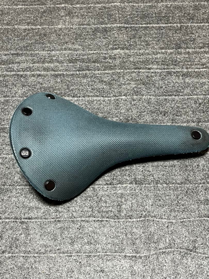 パーツ BROOKS cambium C17 all weather (octane)