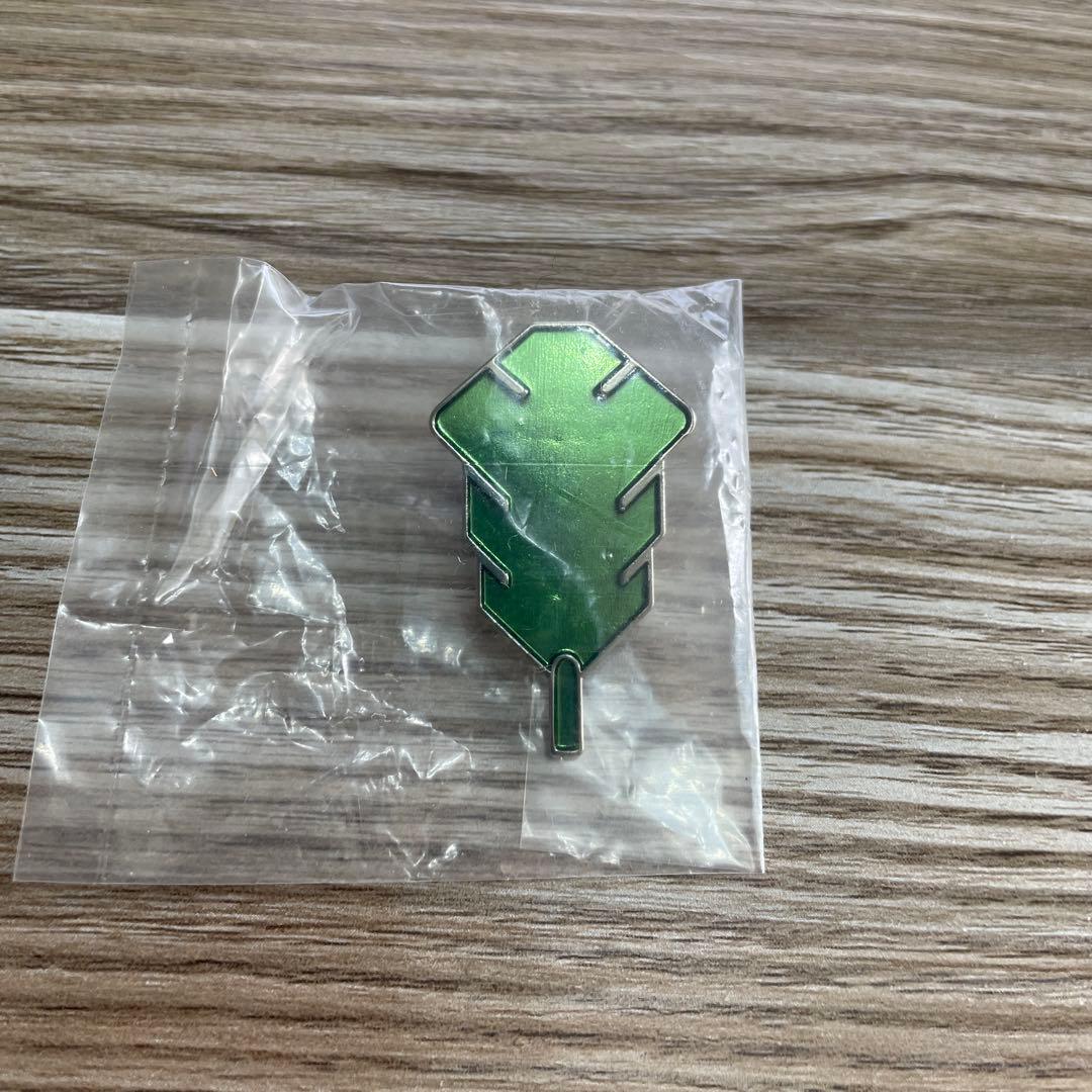 ポケモン　ジムバッジ　カントー　7個セット