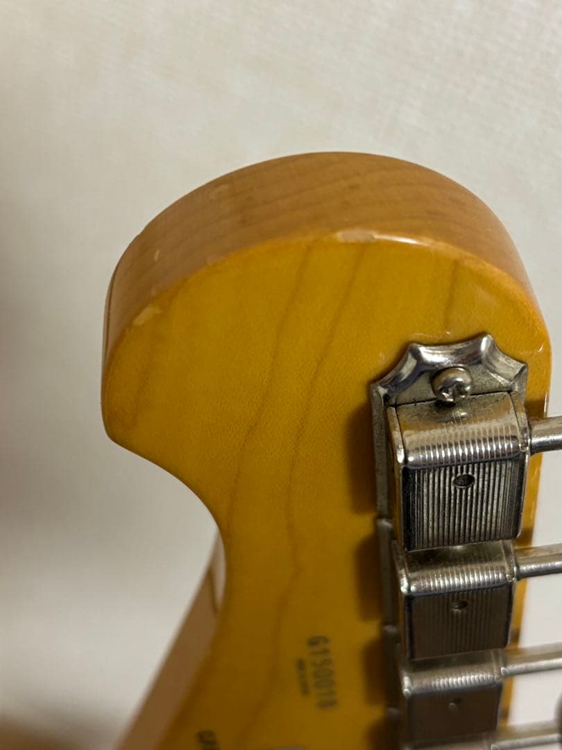 フジゲン　fujigen（FGN） SNST101【限定生産品】