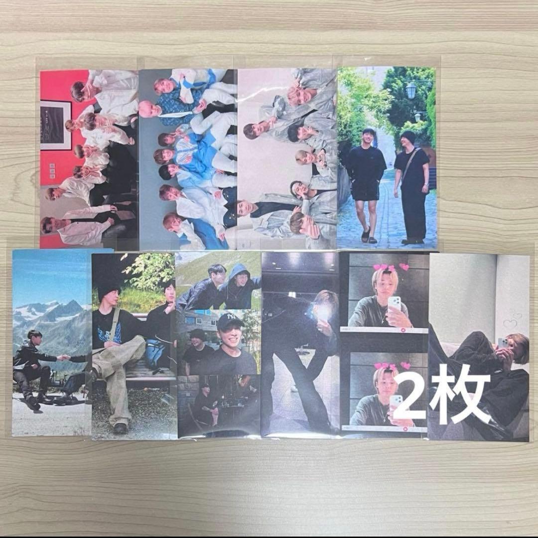 シェリー様②