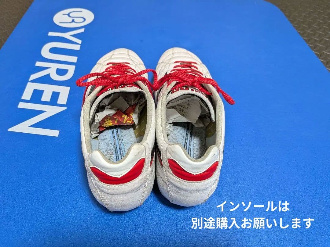ミズノモレリア２ジャパン