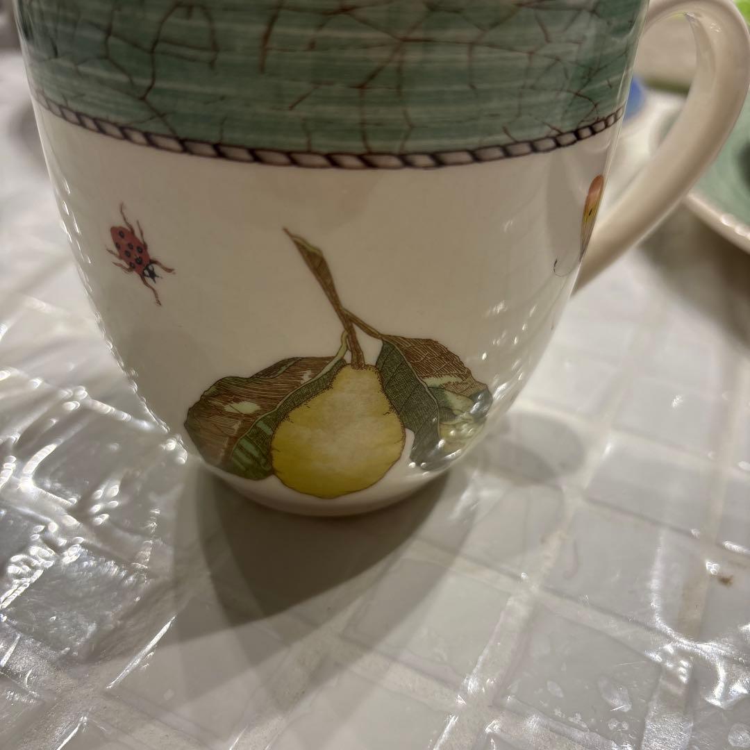 ウェッジウッド　サラズガーデン　食器10点セット