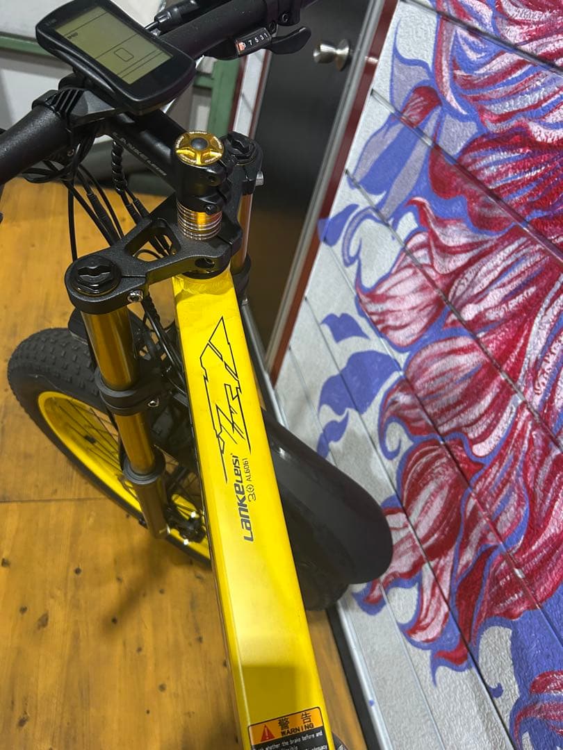 ランケレイシ　Lankeleisi 電動自転車26インチ