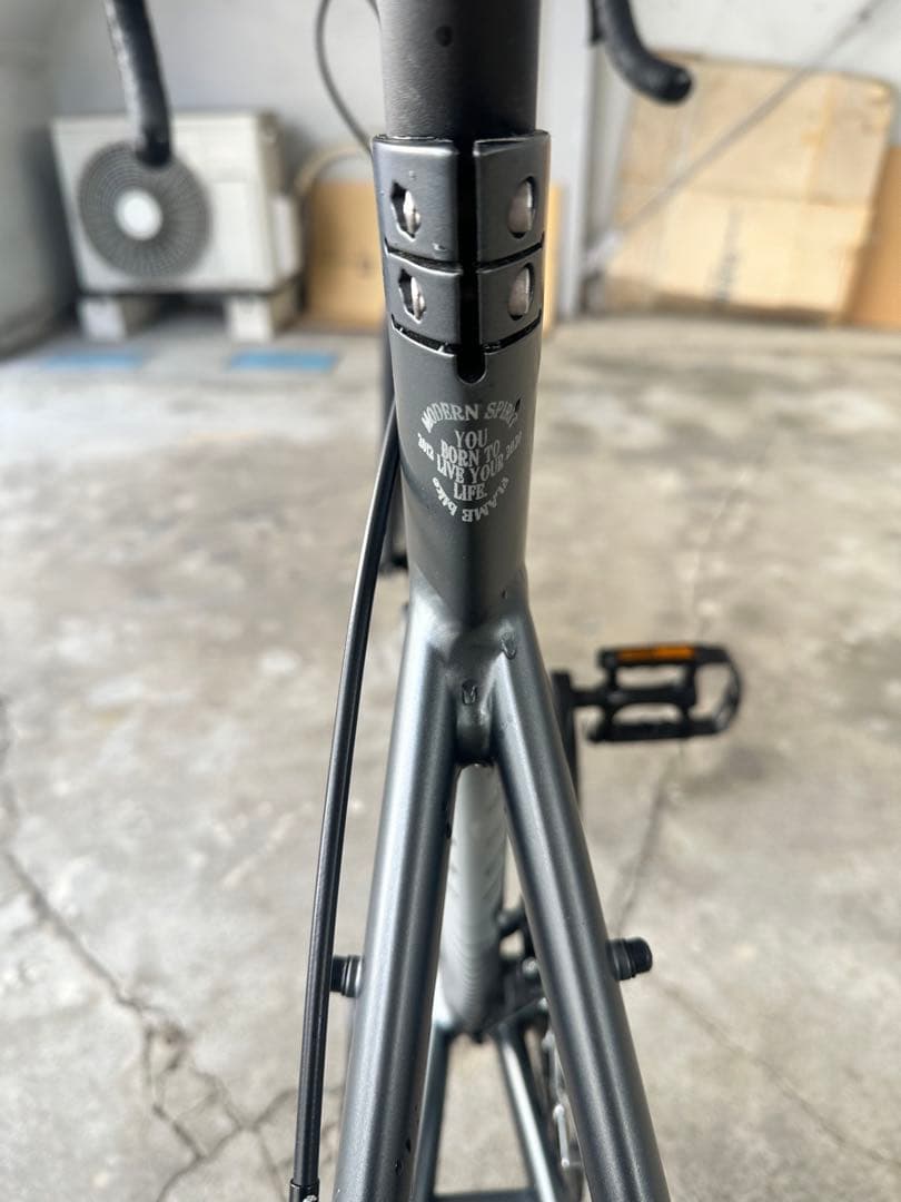 Tern surge小径車 ドロップハンドル