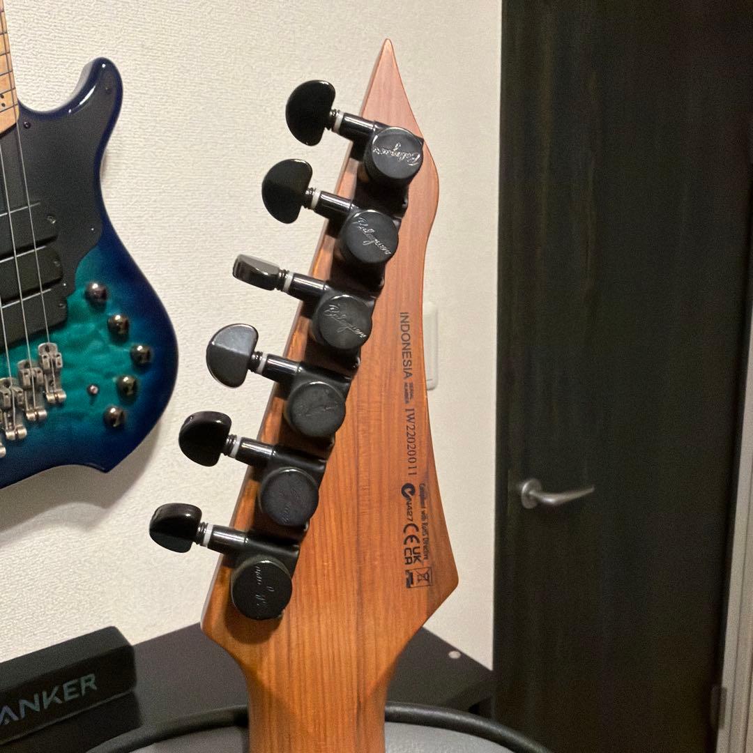 【大幅値下げ】Balaguer Guitars Diablo Standard