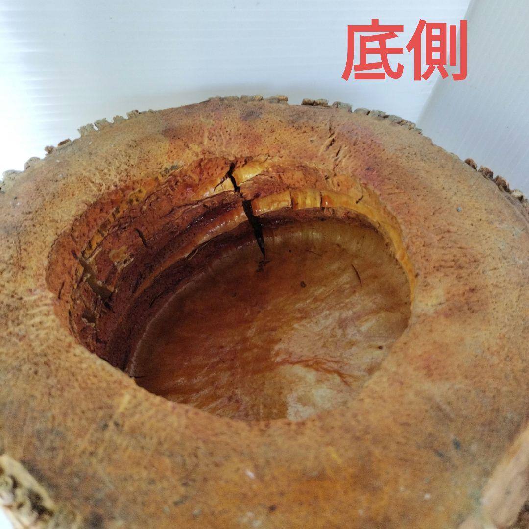 【最終お値下げ！】花器　嵯峨御流　根付二重筒