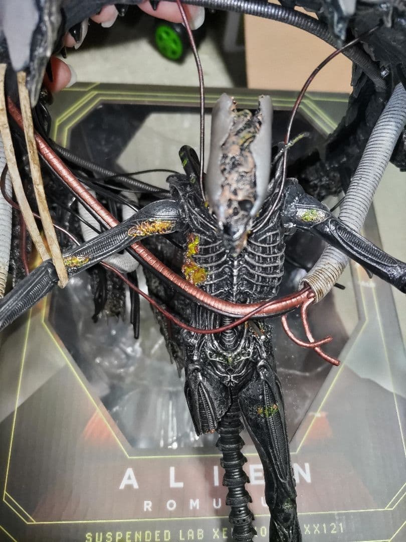 NECA ネカ　サスペンデッドラボゼノモーフ　エイリアン