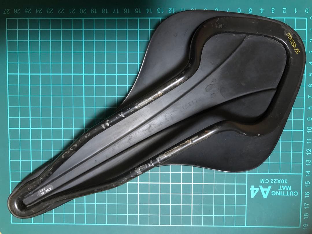 フィジーク　versus evo arione00 large