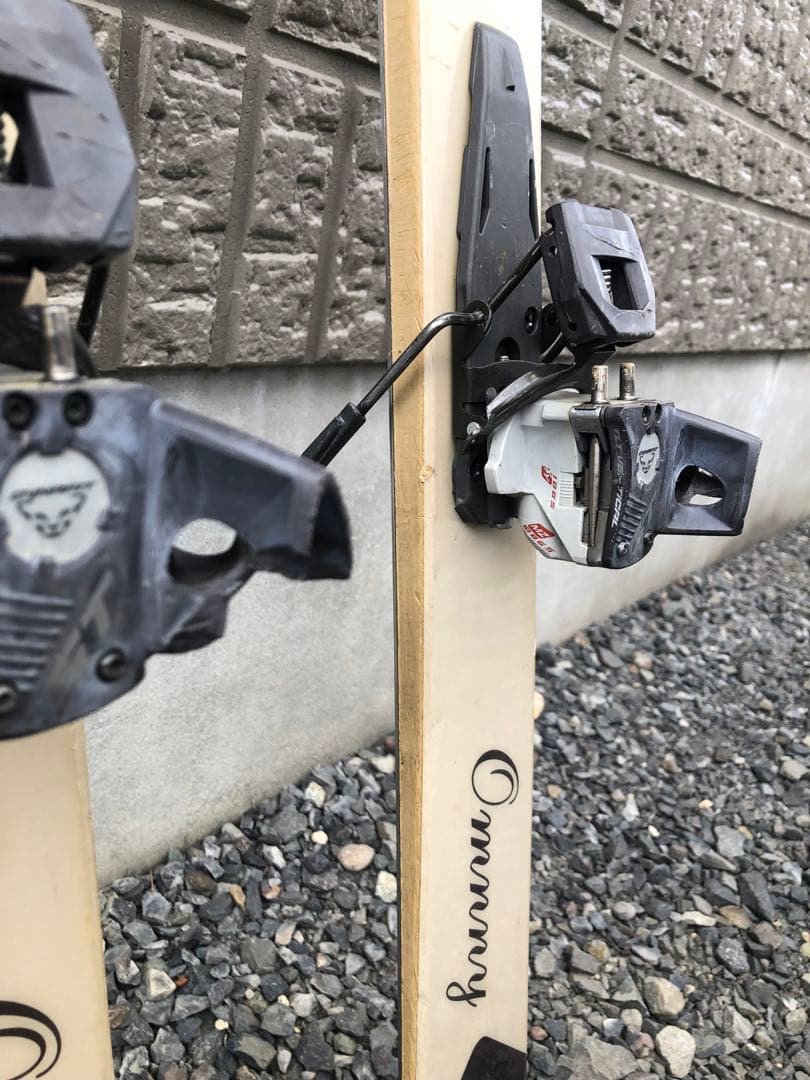 Vector Glide Ommny ツアービンディング付き180cm