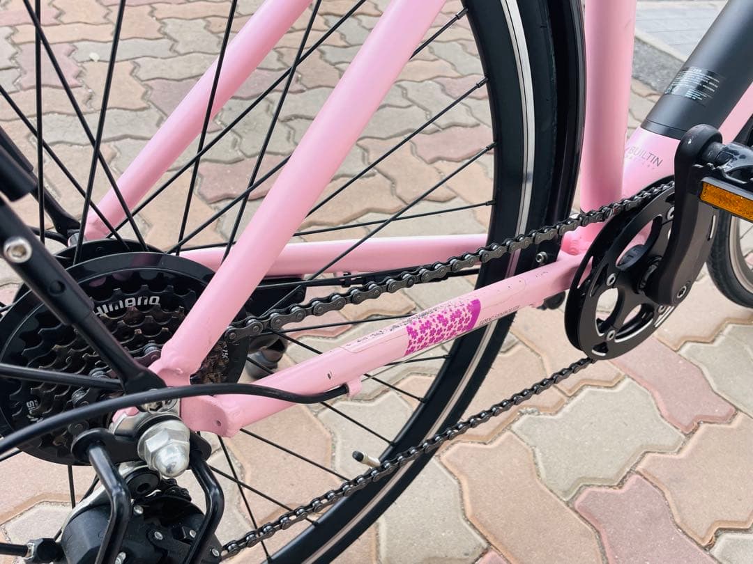 【Hiroshi Ito様商談中】DAITORA 電動アシスト自転車