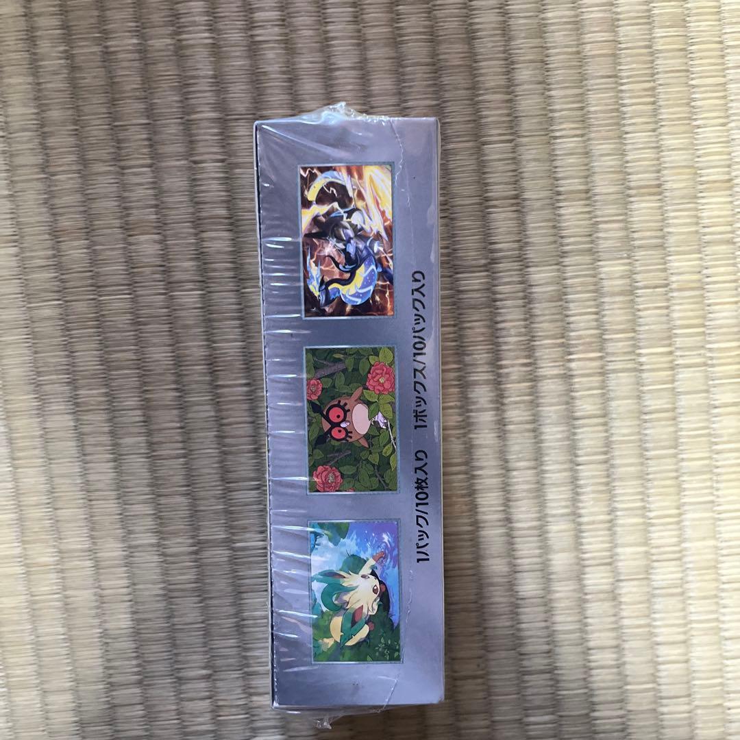 ポケモンカードゲーム テラスタルパック 10パック入り