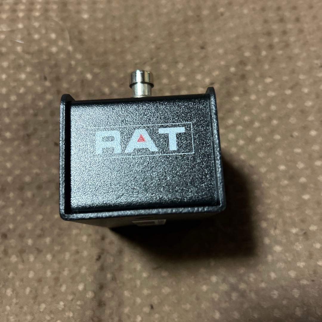 ギター Li L' RAT