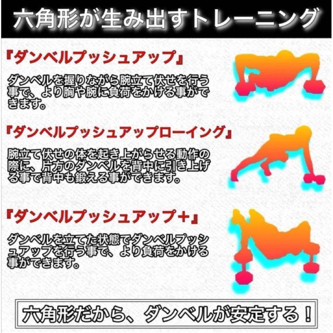 ダンベル10kg 2個セット ヘックスダンベル ヘキサゴンダンベル 六角 621