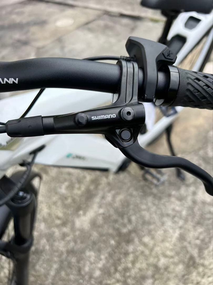 BianchiE-BIKEE-OMNIA T-TYPE内装5速700×48c