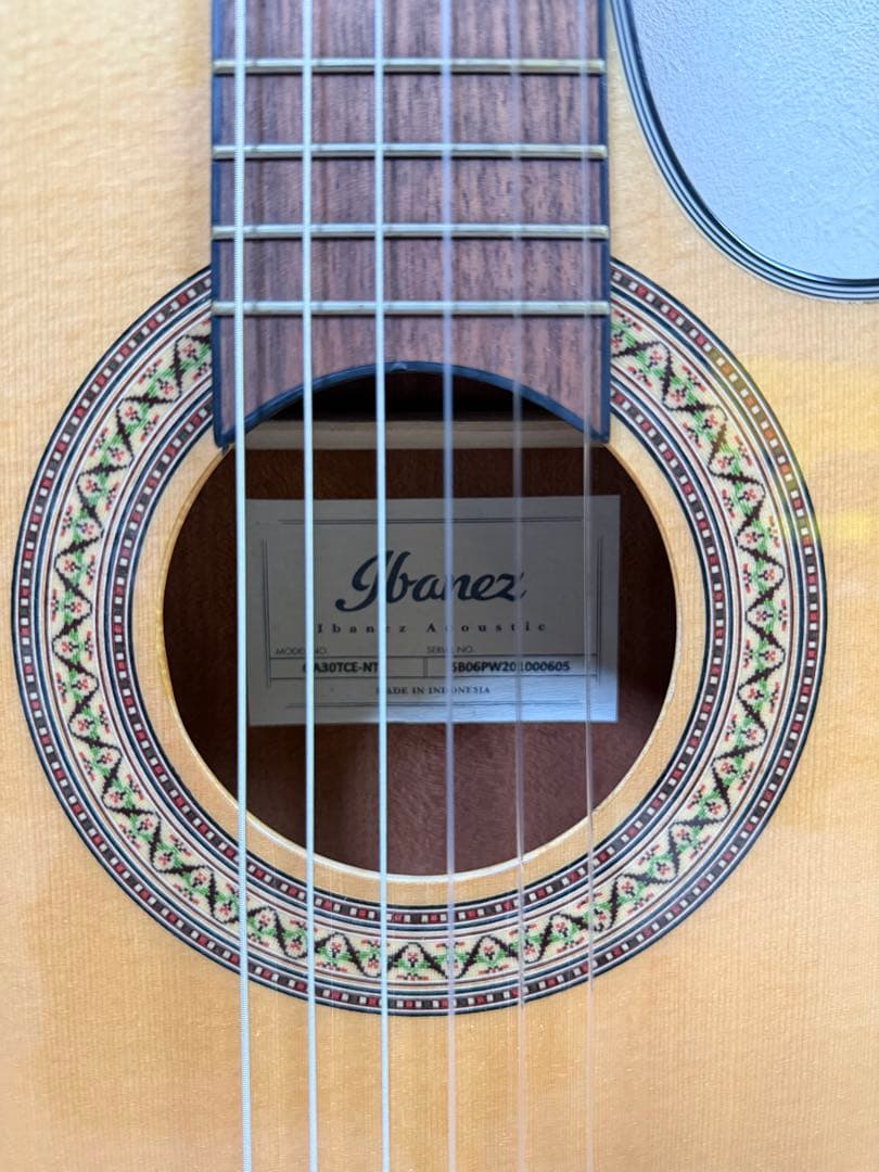 Ibanez エレガットギター GA30TCE-NT