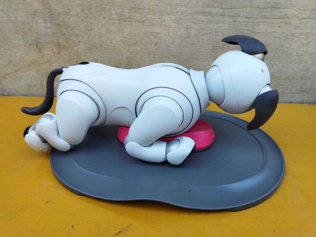 アイボ　aibo ロボット犬 ERS−1000 動作OK　ペットロボット
