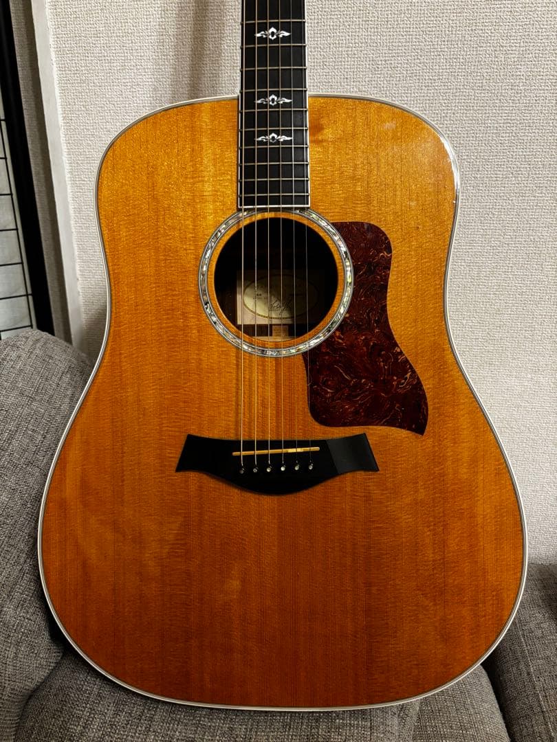 Taylor 810 アコースティックギター ハードケース付