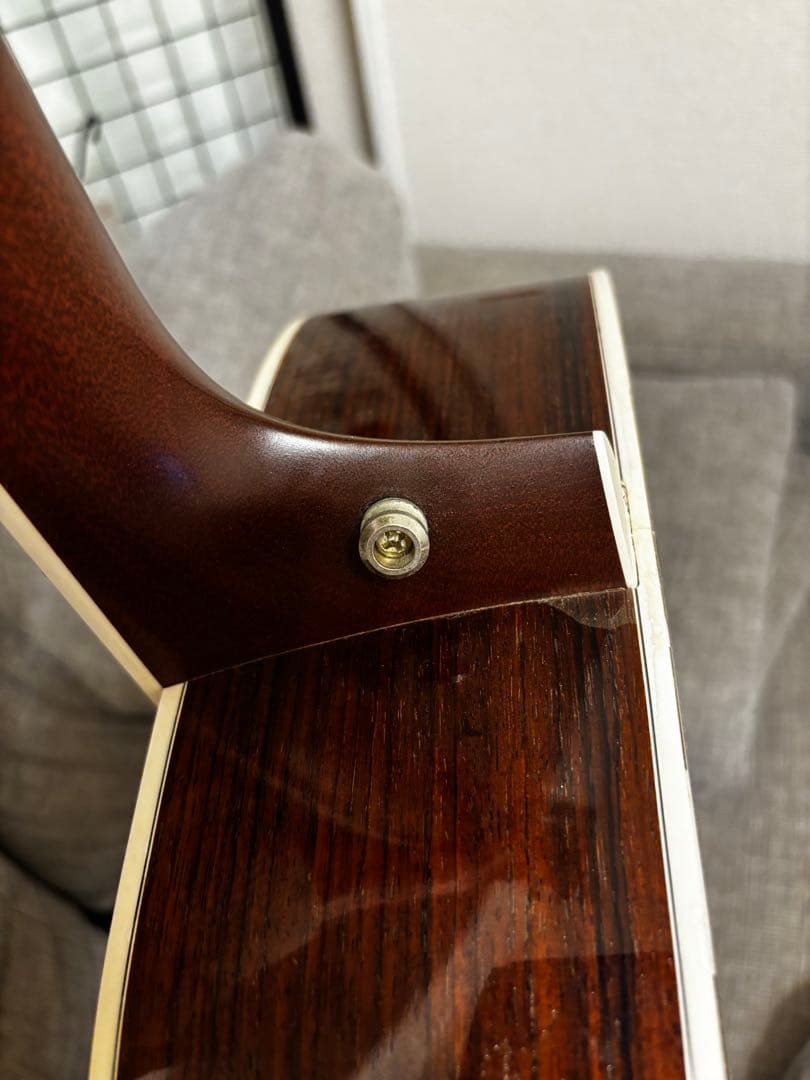 Taylor 810 アコースティックギター ハードケース付