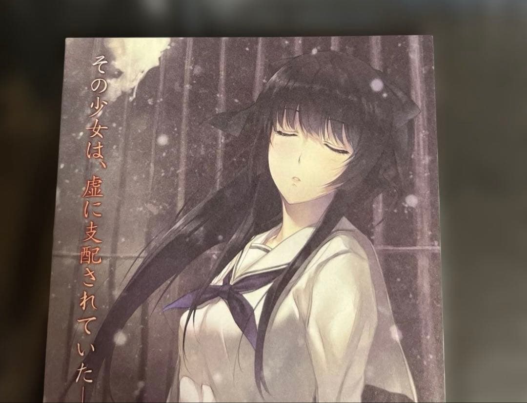 Innocent Grey 　虚の少女 リーフレット 冊子 チラシ 杉菜水姫