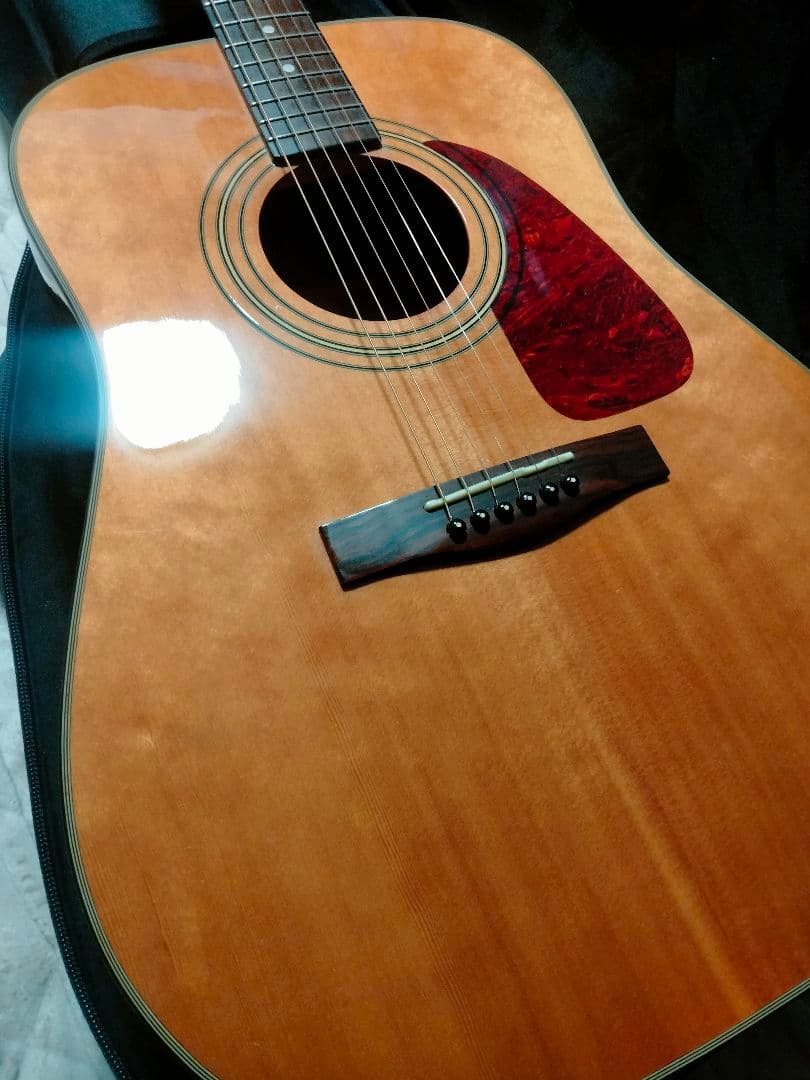 Fender トップ単 韓国製 DG21S ドレッドノート