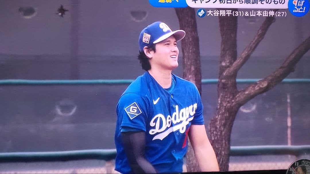 【本物】大谷翔平ナイキ エリートジャージ オルタネイト2 　選手着用仕様 刺繍入